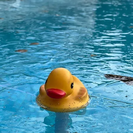 Richmond Hill Cottages, Exclusive 6 Bedroom Farm House, Markington With Heated Pool Сasa de vacaciones